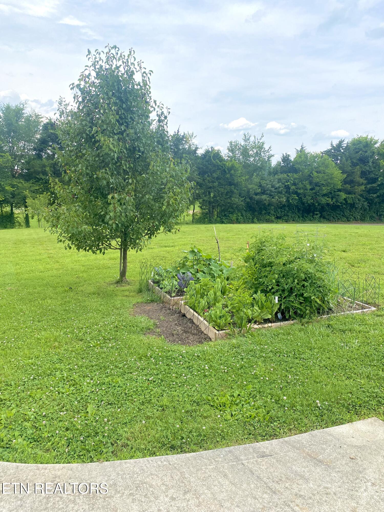 155 Ramsey Road Maryville, TN 37801 - Photo 4 of 28 FullSizeRender