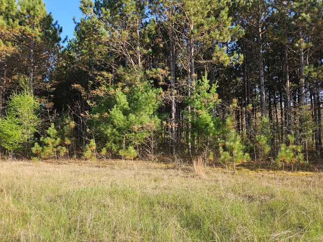 $87,650 | 0 990th Avenue, Colfax, WI 54730