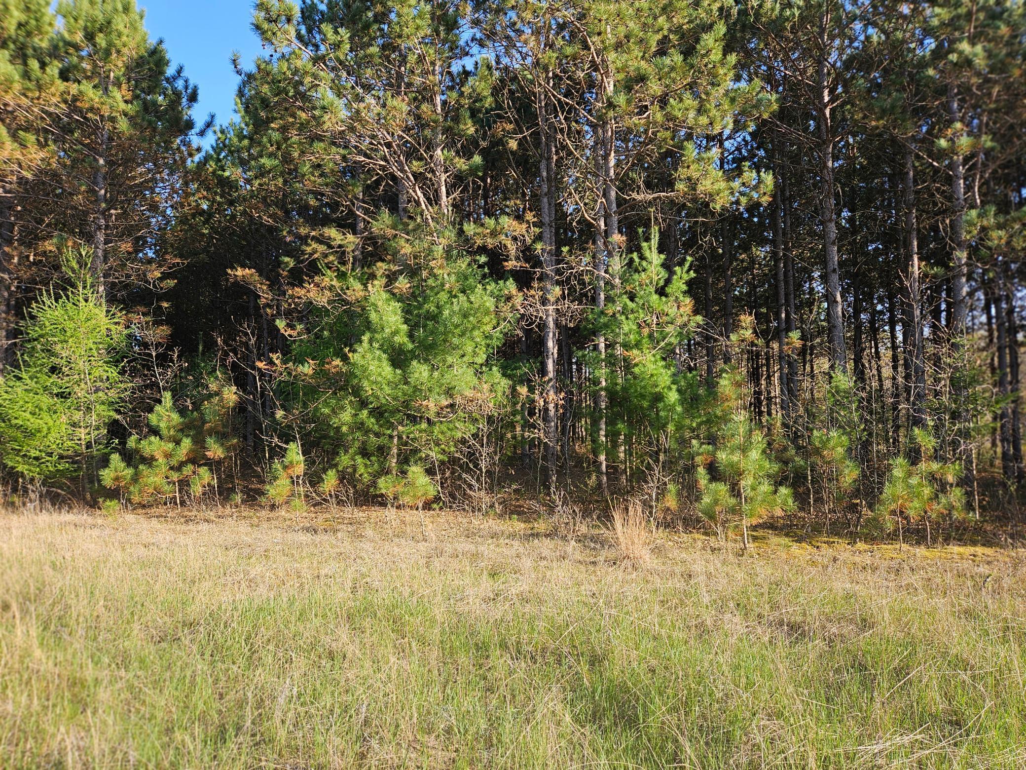 0 990th Avenue Colfax, WI 54730 - Photo 2 of 4