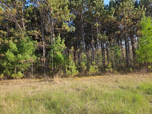 $87,650 | 0 990th Avenue, Colfax, WI 54730