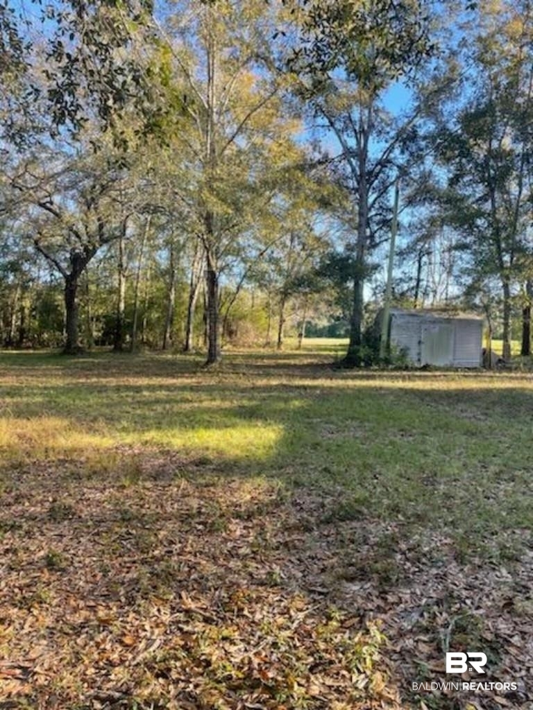 10501 Tillman Lane Foley, AL 36535 - Photo 5 of 9