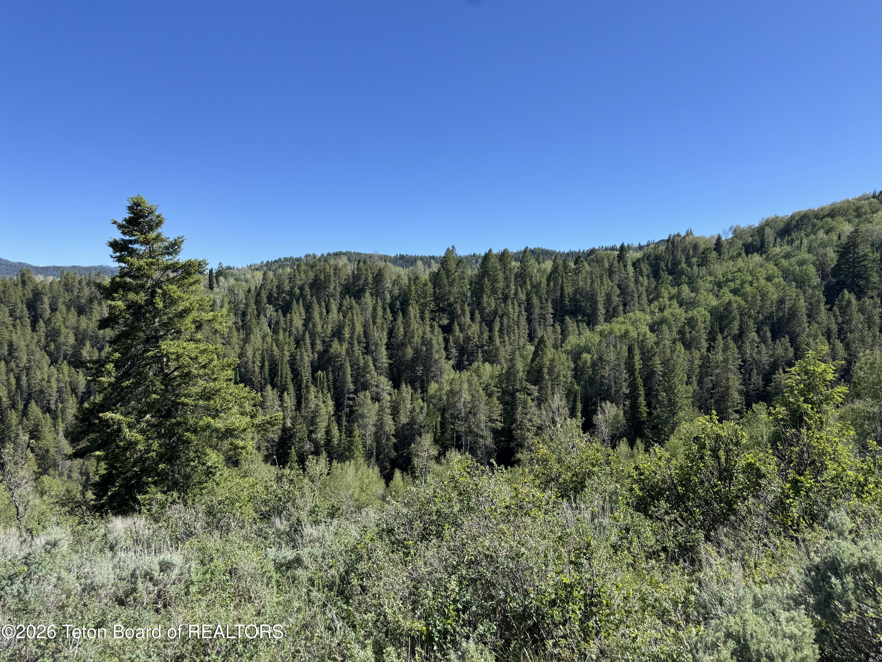 Tbd Lot 5 Tbd Lane Victor, ID 83455 - Photo 6 of 15 Lot_5_1