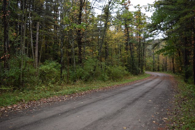 0 Parker Road Lockwood, NY 14859 - Photo 1 of 1 Gallery Image 1
