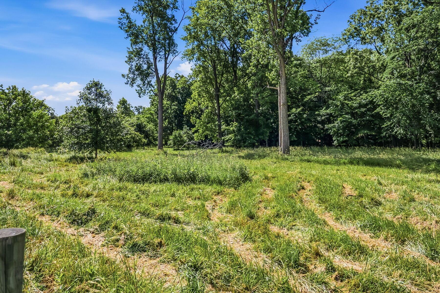 2648 Troy Road Delaware, OH 43015 - Photo 86 of 97 39-web-or-mls-2648 Troy Rd-139