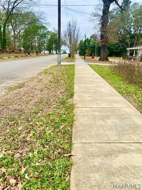 604 West Main Street Samson, AL 36477 - Photo 3 of 5 Gallery Image 3