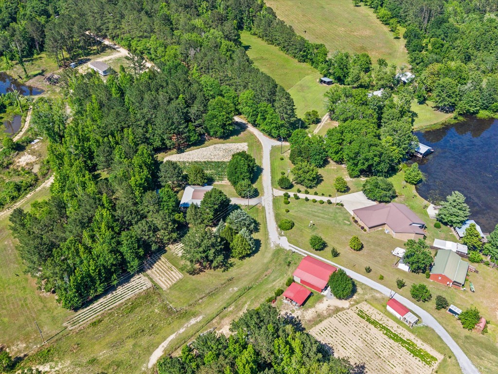 32724 Bozeman Road Dozier, AL 36028 - Photo 52 of 59