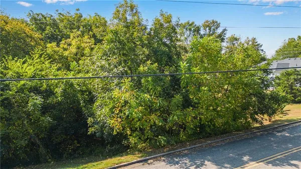 a view of a yard with a tree