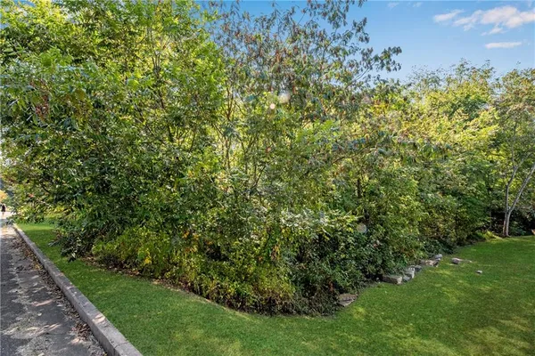 a view of backyard with cabin