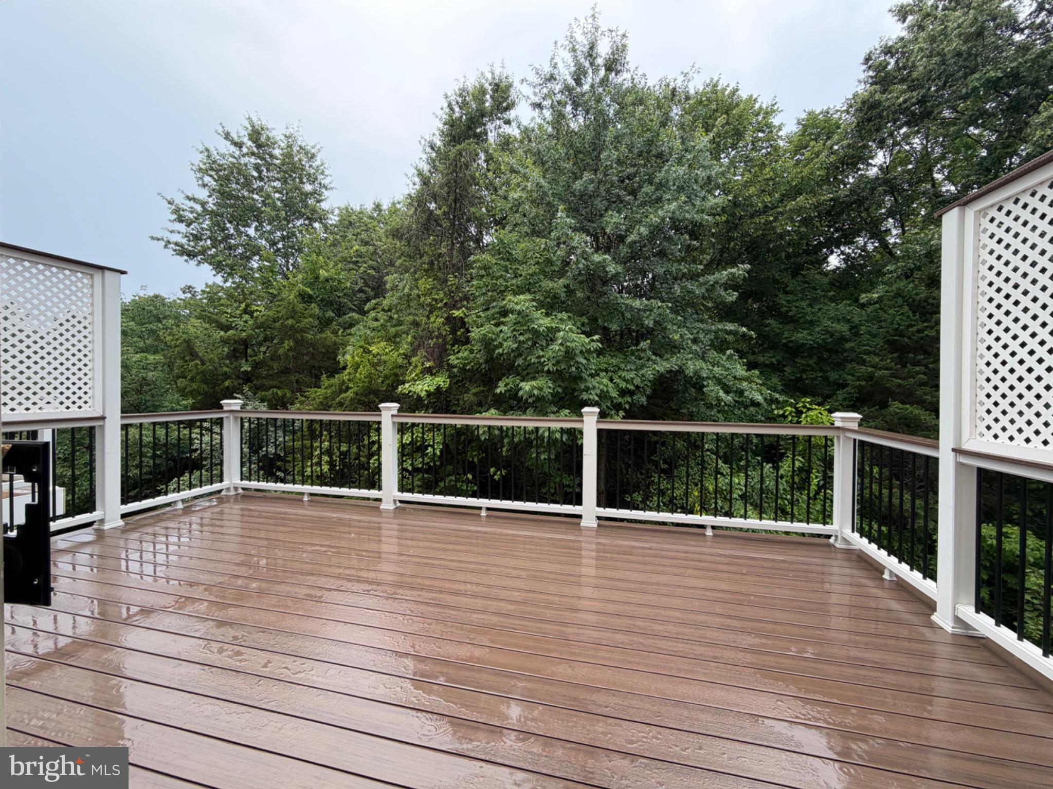 25333 Wakestone Terrace Chantilly, VA 20152 - Photo 13 of 109 Serene deck overlooking lush greenery.