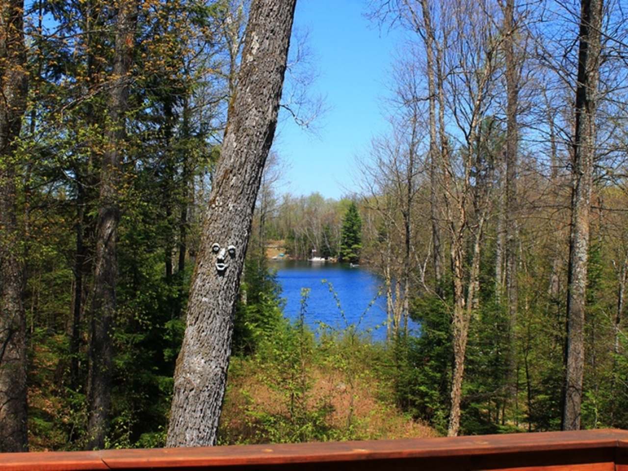 5142 Feely Lake Road Mercer, WI 54547 - Photo 4 of 67 Gallery Image 4