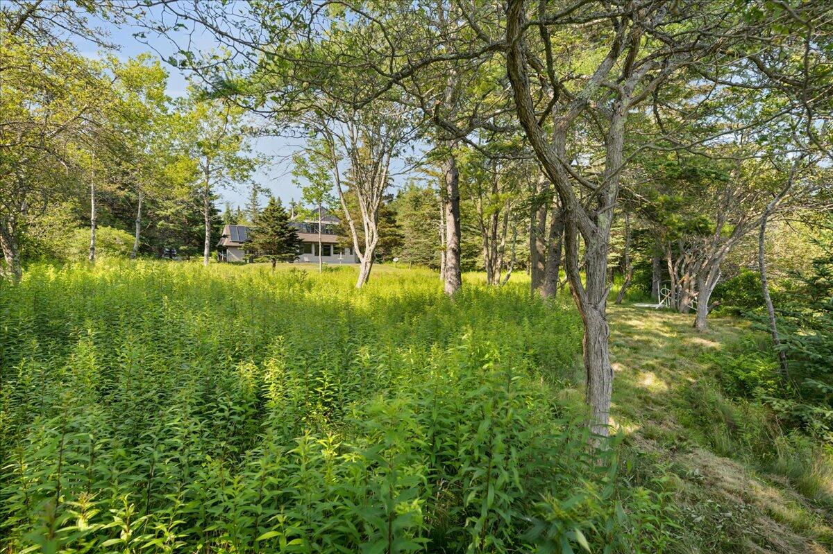 183 Davis Farm Road Deer Isle, ME 04627 - Photo 70 of 91 69-183 Davis Farm Rd (26 of 91)