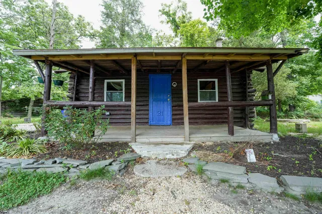 a view of a yard with plants and large trees