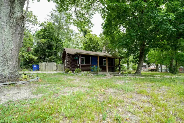 a large tree in middle of the garden
