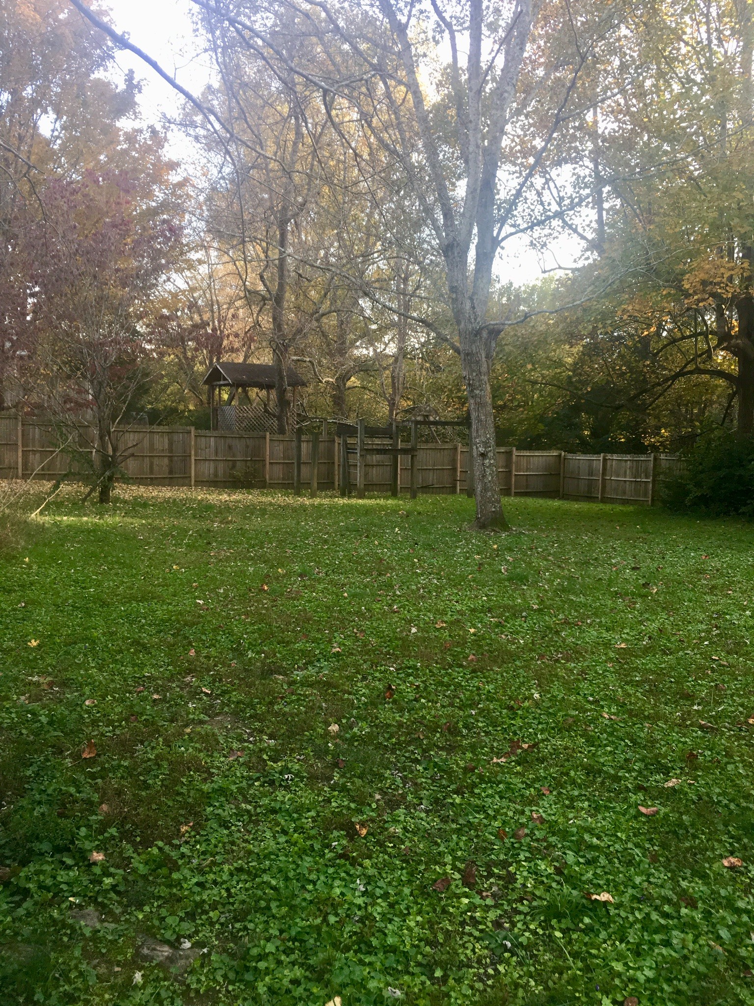 401 Prosser Road Lawrenceburg, TN 38464 - Photo 18 of 18 a view of a backyard