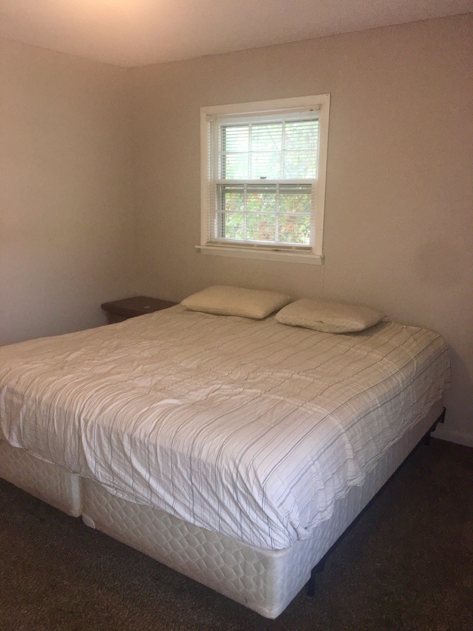 401 Prosser Road Lawrenceburg, TN 38464 - Photo 10 of 18 a large bed sitting in a bedroom next to a window