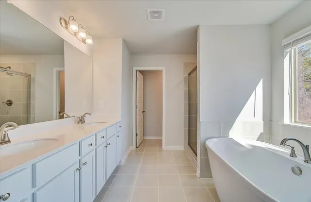 a bathroom with 2 sink tub and a mirror