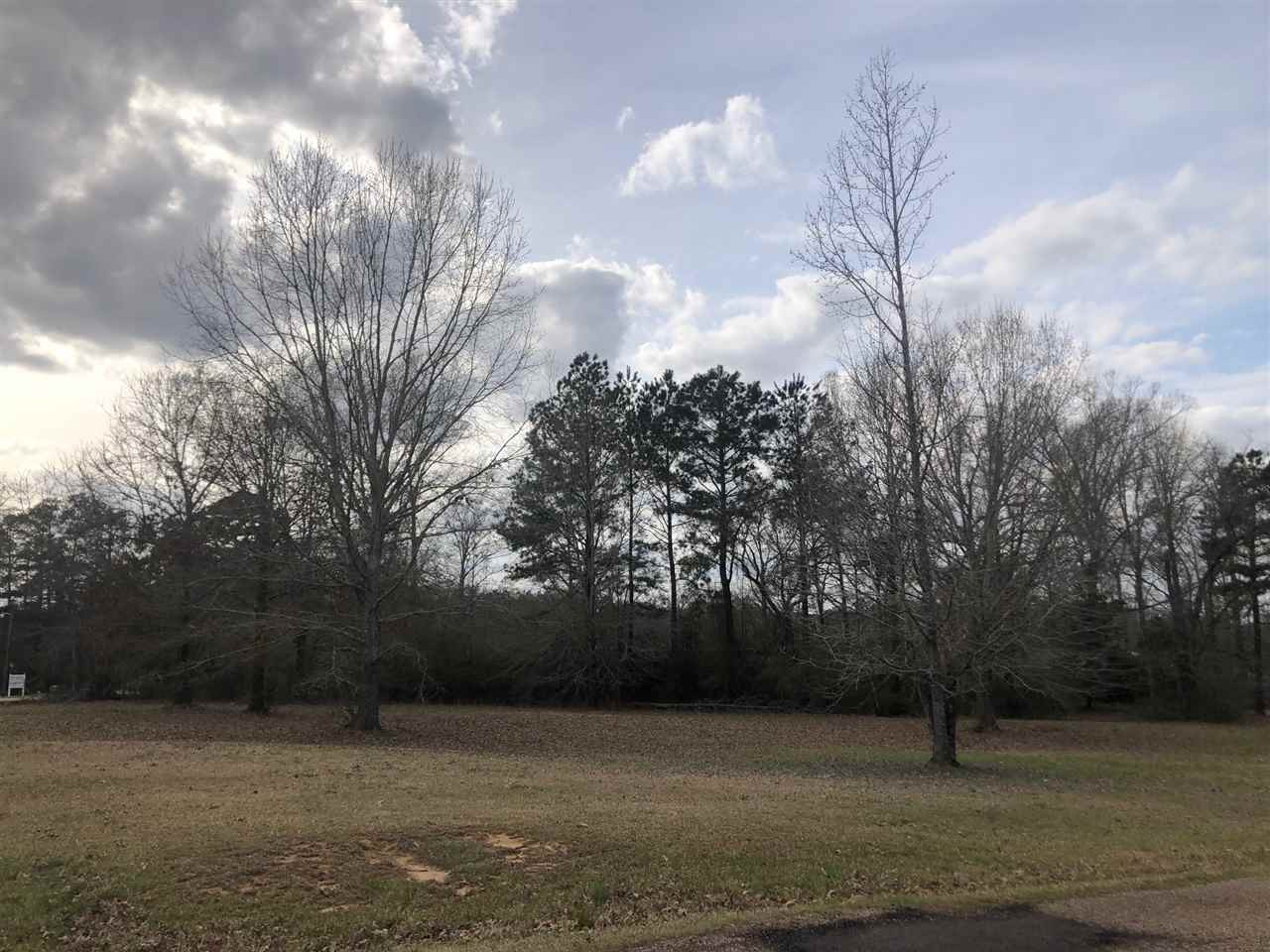 0 Springridge Road, Unit LOT 26 Terry, MS 39170 - Photo 1 of 1 Photo 1