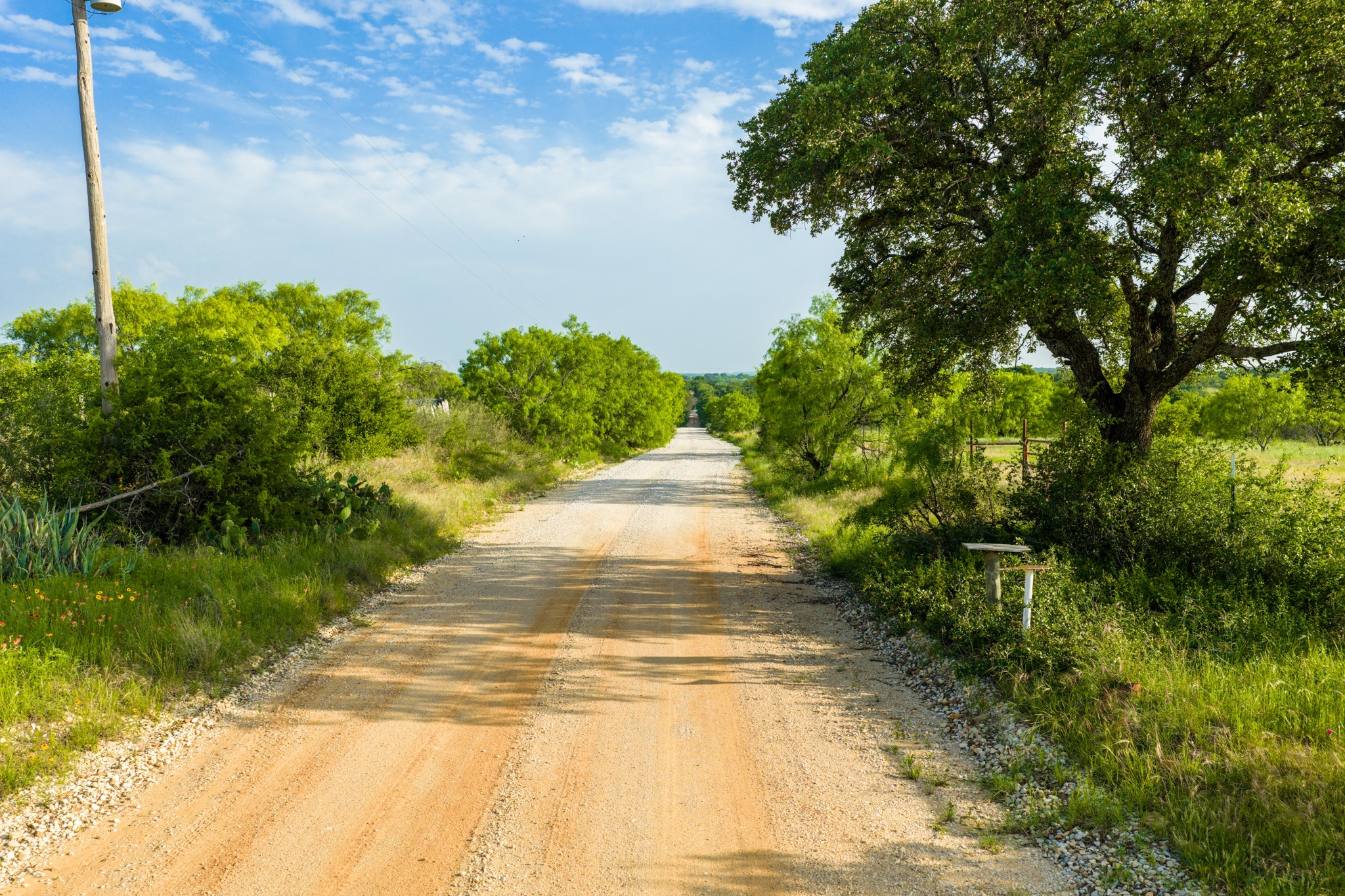 11079 Cr 266 Rochelle Tx 76872 Rochelle, TX 76872 - Photo 27 of 40 Expansive gravel road surrounded by mature trees and natural vegetation under a clear sky