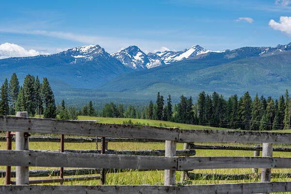 2705 Rumble Creek Road Condon, MT 59826 - Photo 1 of 25 20200713 Z7DSC_1110