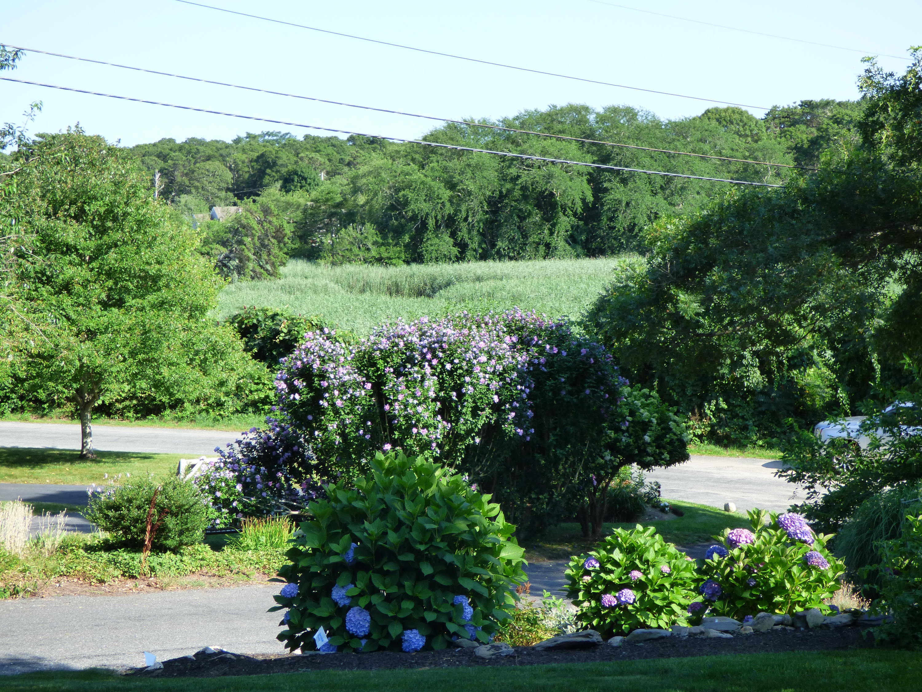 91 Joan Road Centerville, MA 02632 - Photo 4 of 25 P1010659