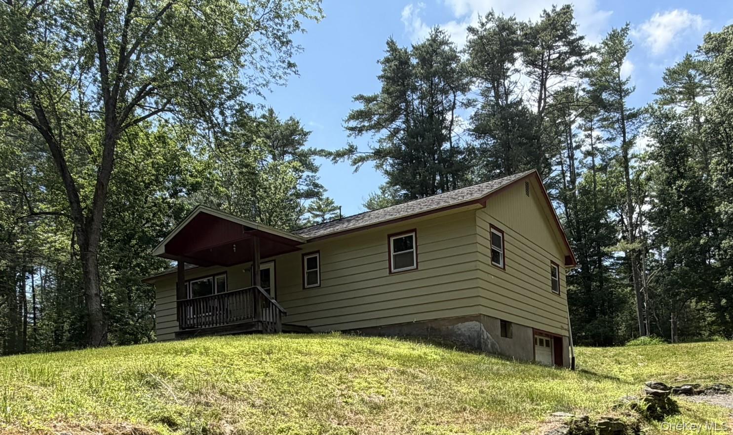 5 Steges Road Eldred, NY 12732 - Photo 4 of 19