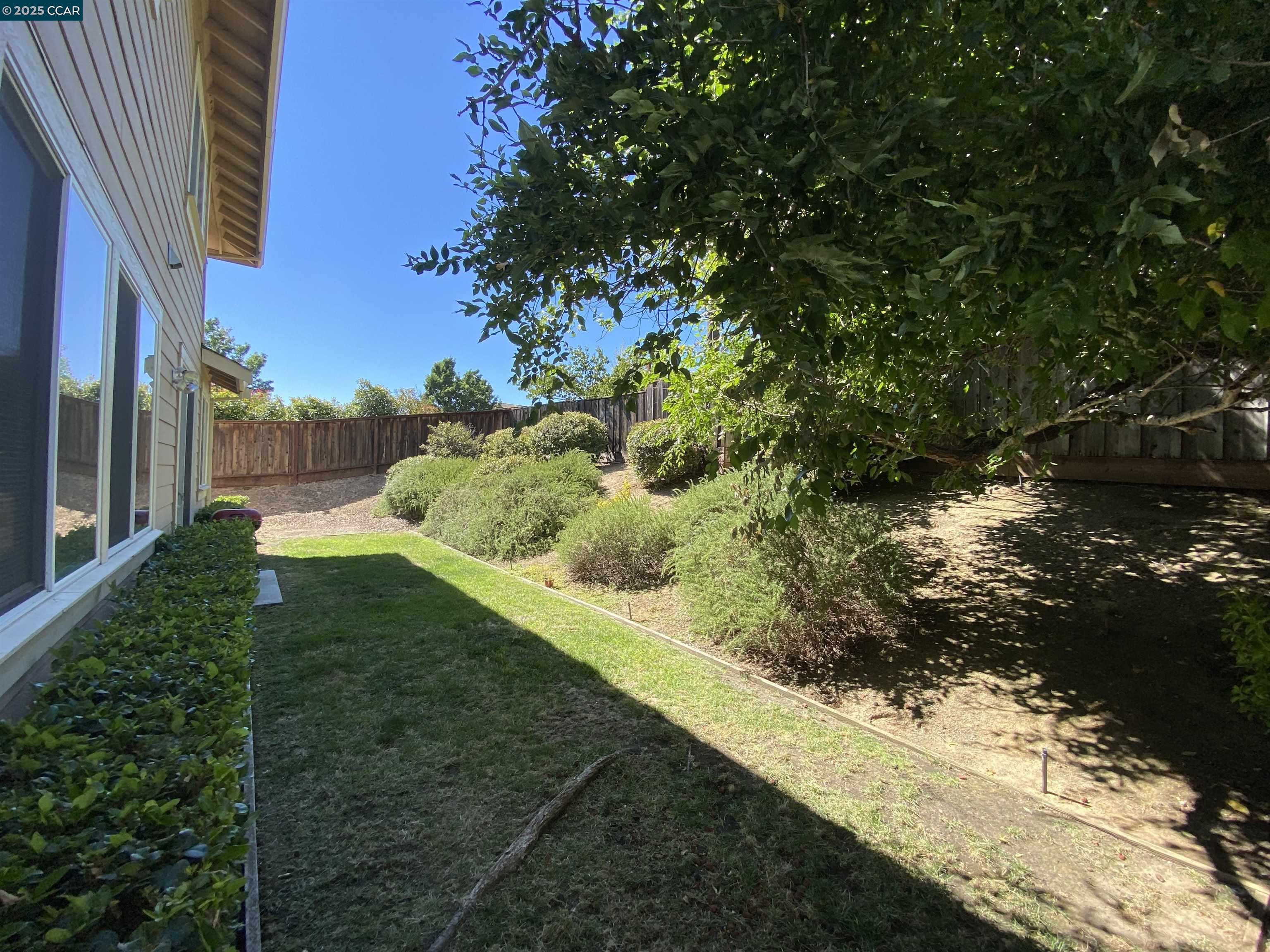1900 La Veranda Place Martinez, CA 94553 - Photo 26 of 57 a view of a yard with an trees