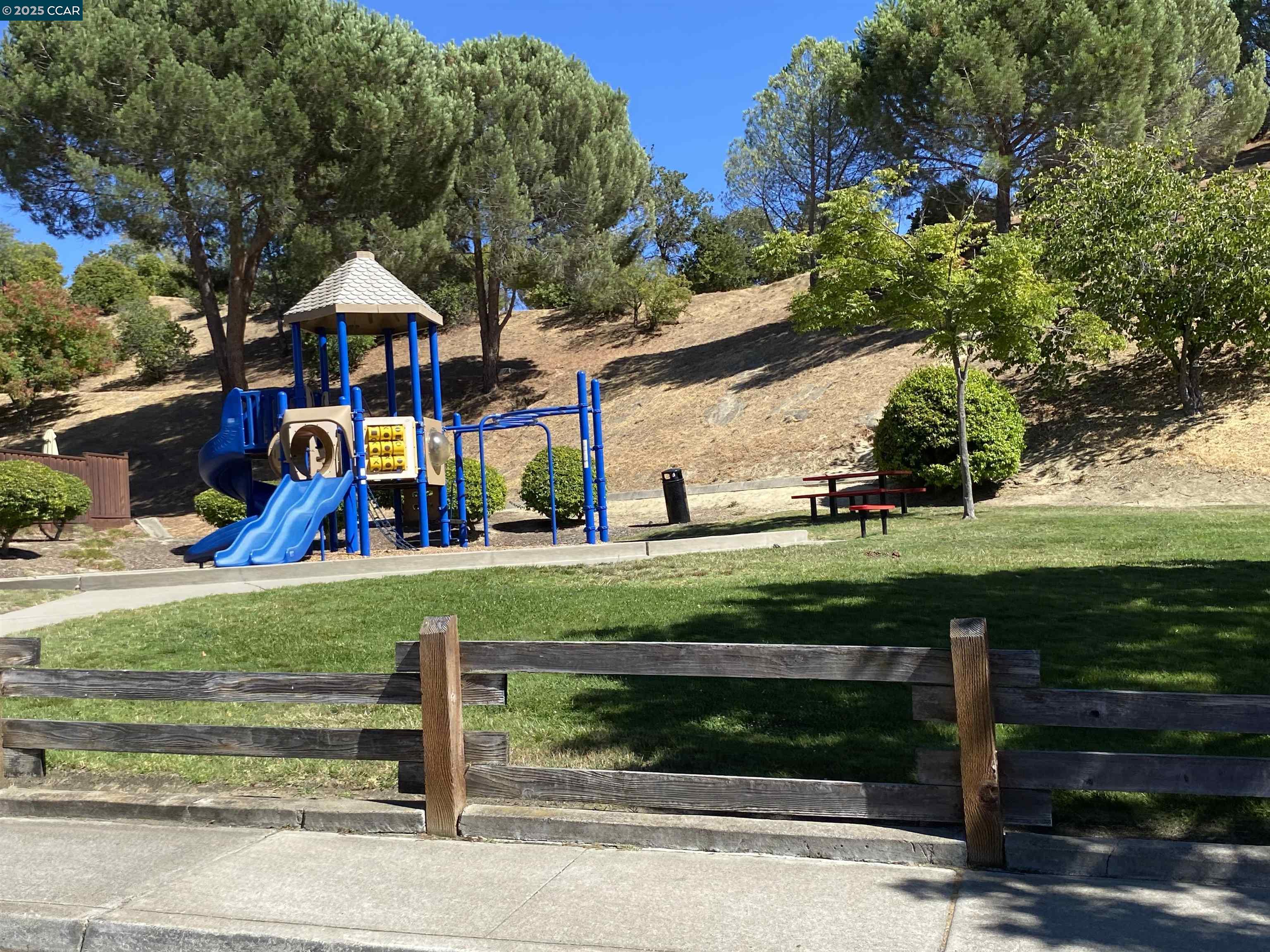 1900 La Veranda Place Martinez, CA 94553 - Photo 55 of 57 a view of park with large tree