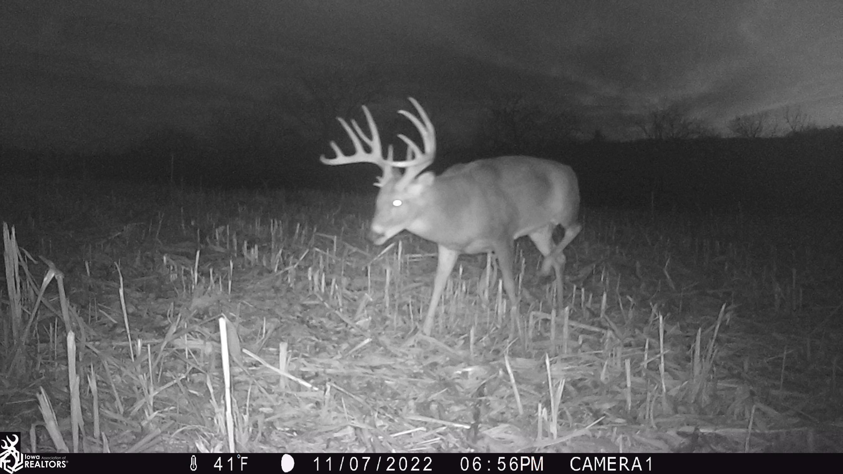 26845 County Road R52 Leon, IA 50144 - Photo 17 of 92 Gallery Image 17