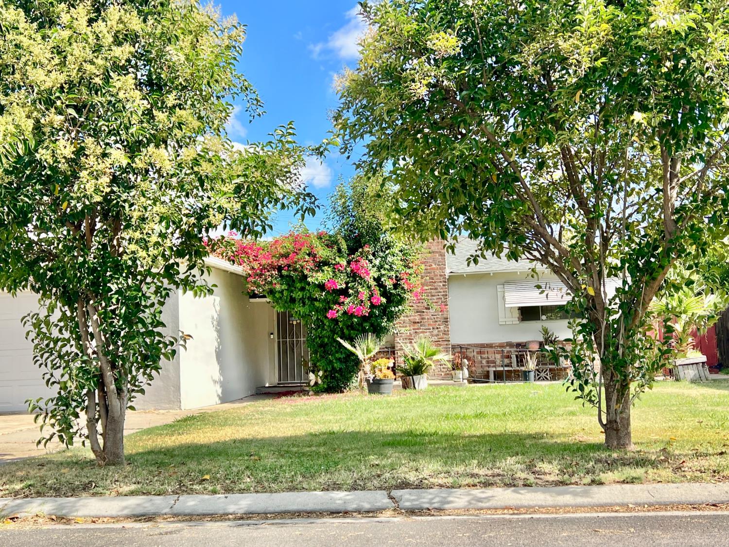 2101 Parr Avenue Modesto, CA 95358 - Photo 3 of 20 a view of a house with a yard and tree s