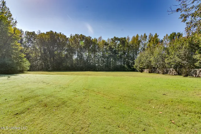 $920,000 | 268 Bonnie Blue Cove, Olive Branch, MS 38654