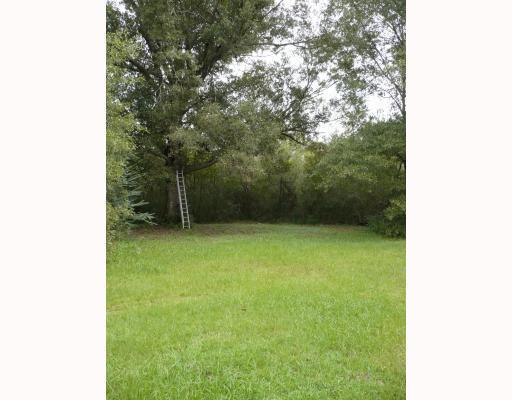 West Wortham Saucier, MS 39574 - Photo 2 of 4 Additional Photo