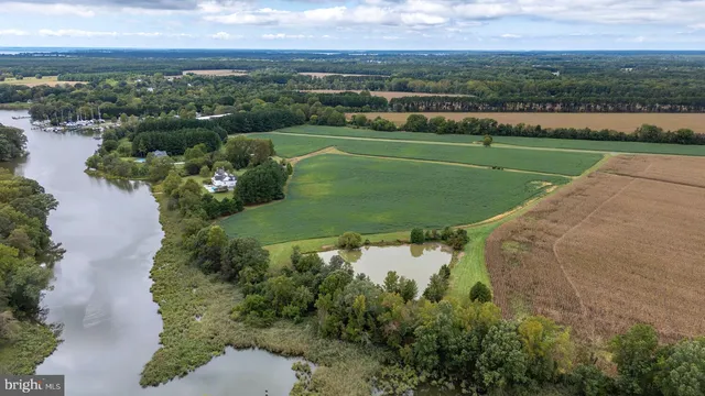 a view of outdoor space with deck and trees