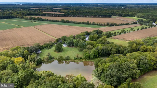 a view of a field with a trees in the background