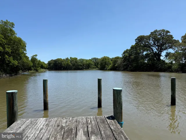 a view of a garden with an outdoor space