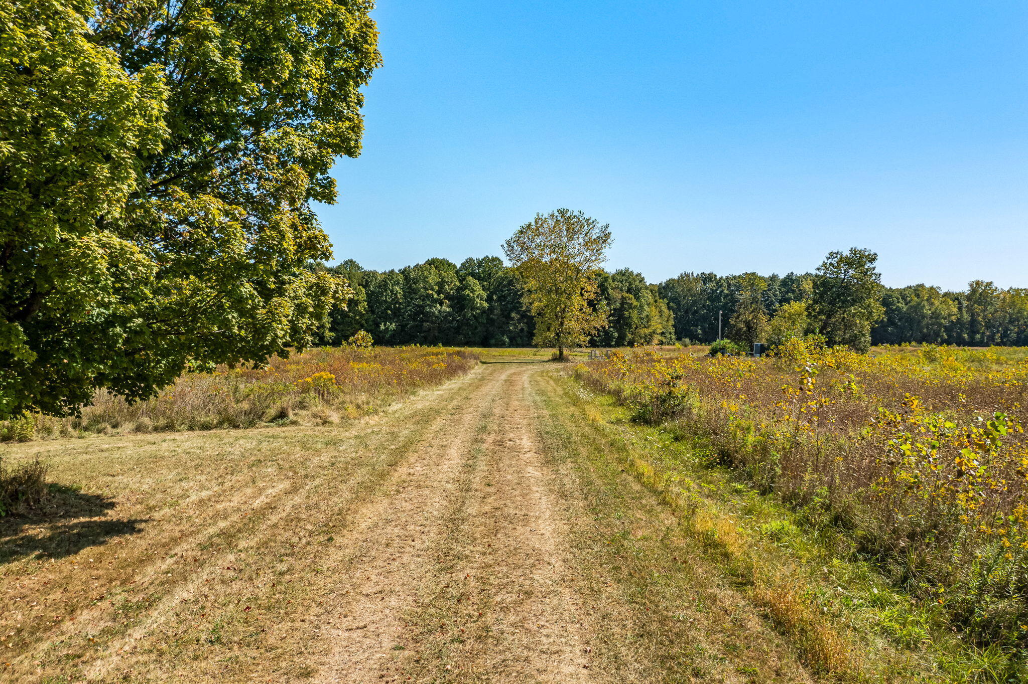 V/l Tharp Lake Road Cassopolis, MI 49031 - Photo 21 of 23 Tharp Lake Rd (10 of 23)
