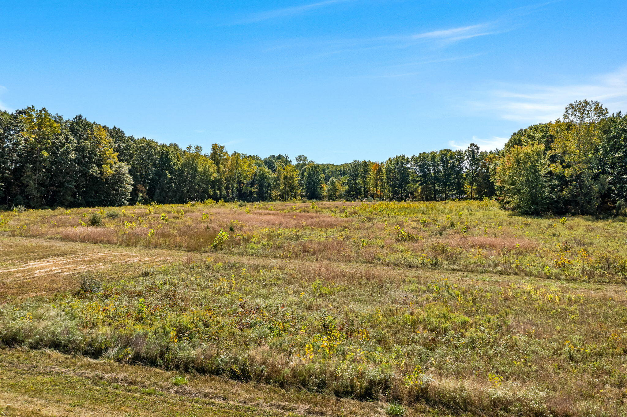 Tharp Lake Rd (14 of 23)