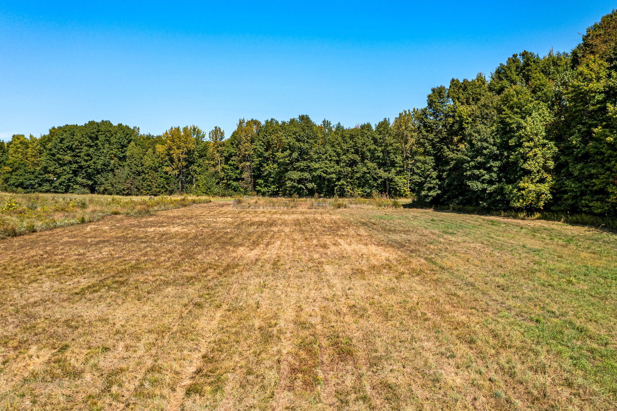 Tharp Lake Rd (15 of 23)