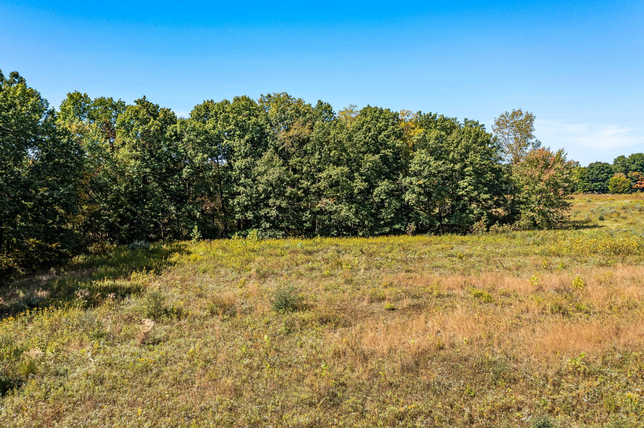 Tharp Lake Rd (18 of 23)