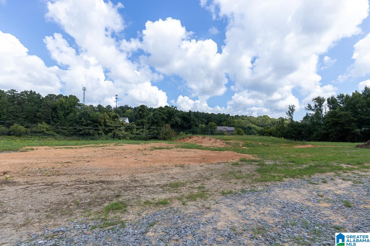 1080 Grants Mill Road Birmingham, AL 35210 - Photo 9 of 11