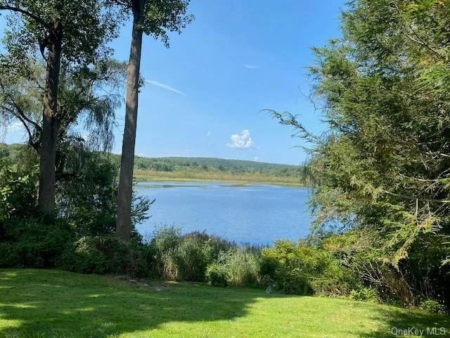 a view of a lake from a yard