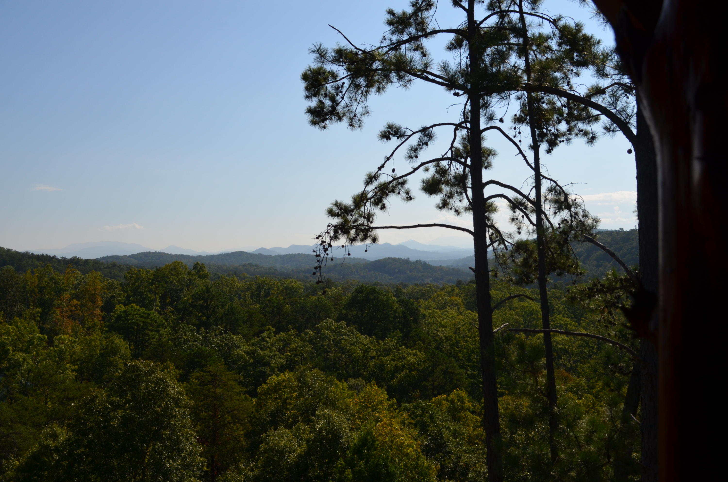 2022 Smoky Cove Road Sevierville, TN 37876 - Photo 4 of 39 View