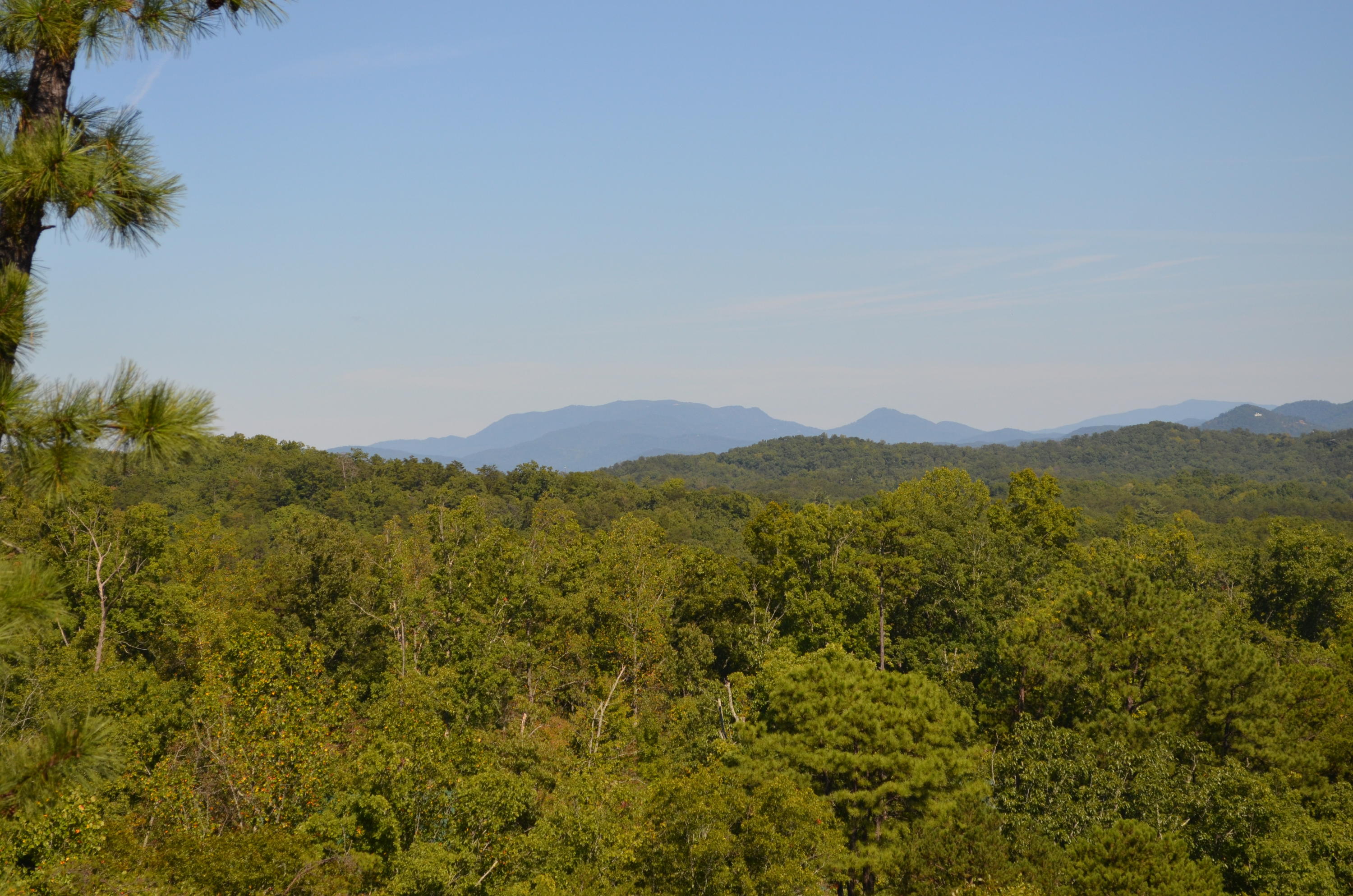 2022 Smoky Cove Road Sevierville, TN 37876 - Photo 39 of 39 DSC_0486
