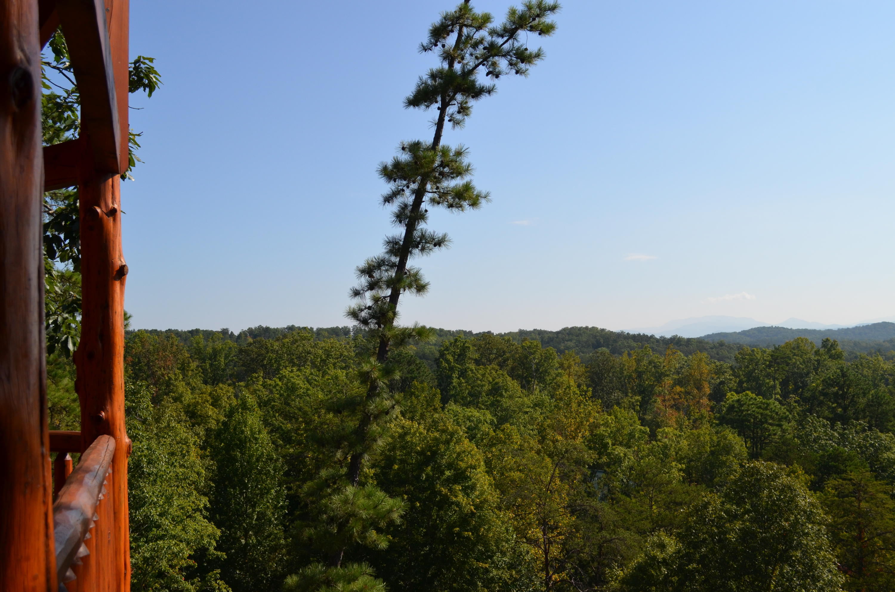 2022 Smoky Cove Road Sevierville, TN 37876 - Photo 6 of 39 View from upper deck (2)