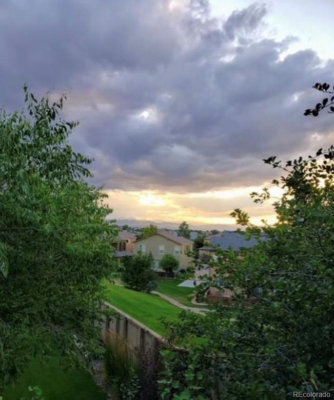 3559 Craftsbury Drive Highlands Ranch, CO 80126 - Photo 3 of 6