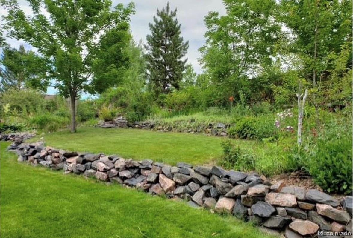 3559 Craftsbury Drive Highlands Ranch, CO 80126 - Photo 32 of 38 a view of a green field