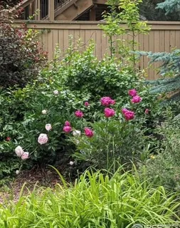 $840,000 | 3559 Craftsbury Drive, Highlands Ranch, CO 80126