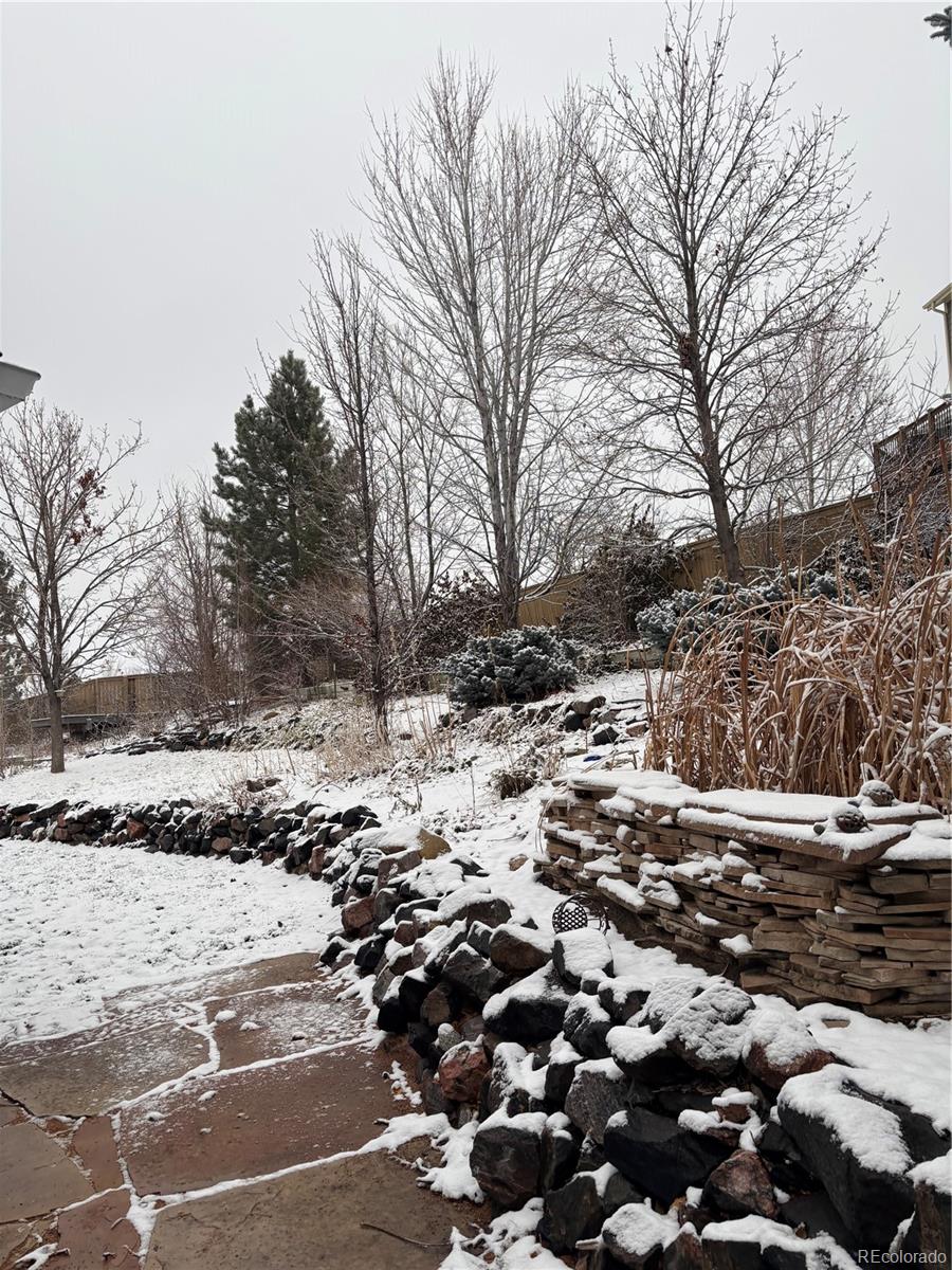 3559 Craftsbury Drive Highlands Ranch, CO 80126 - Photo 35 of 38