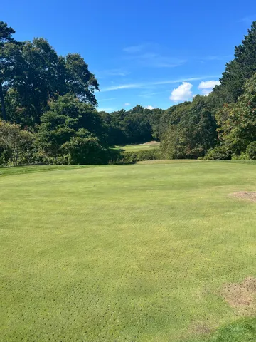 a view of a field with an ocean