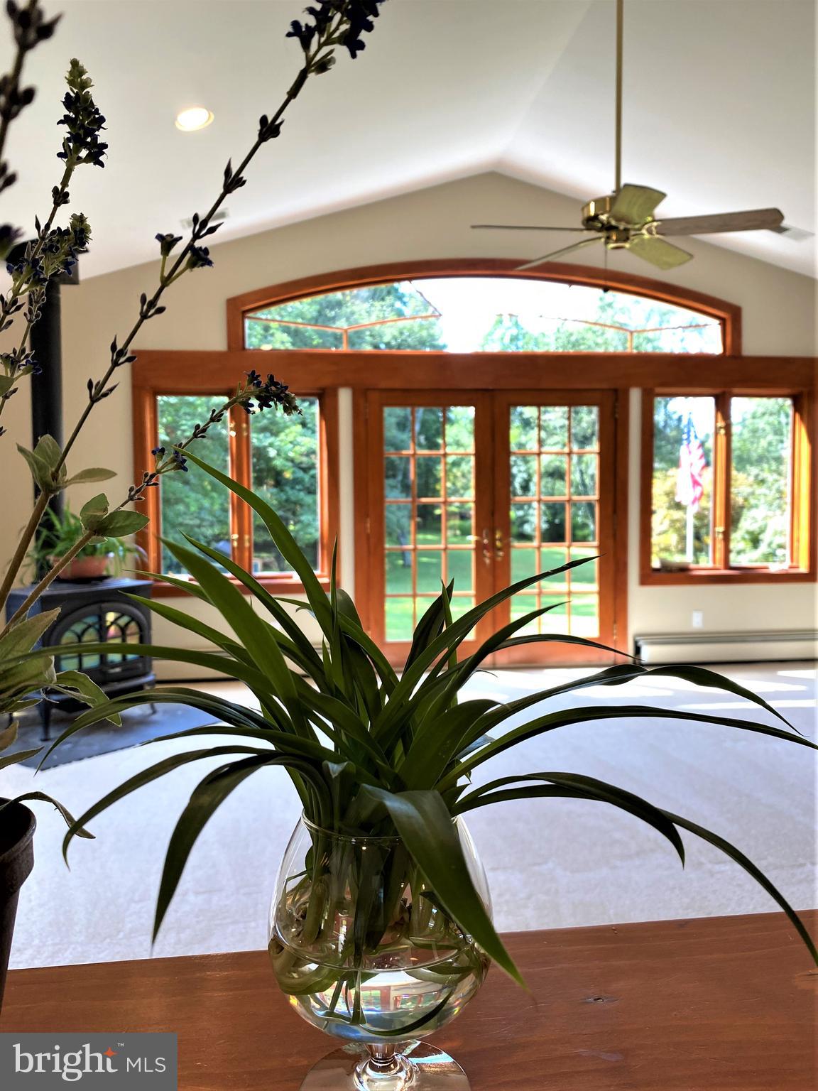 13746 Notley Road Silver Spring, MD 20904 - Photo 11 of 37 Serene View from Kitchen Sink