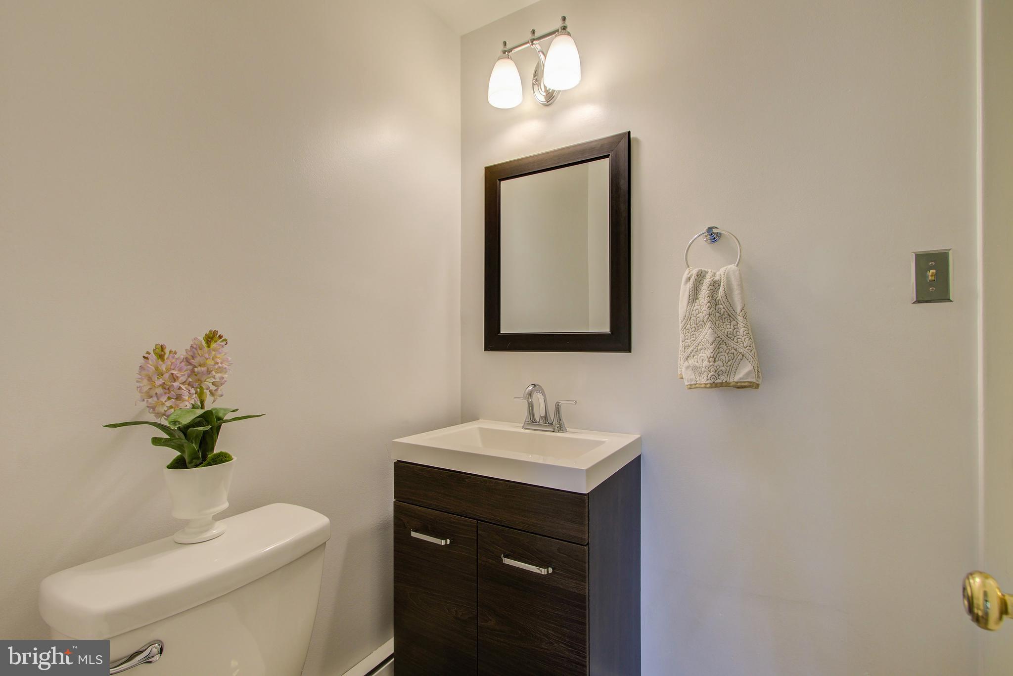 13746 Notley Road Silver Spring, MD 20904 - Photo 26 of 37 3rd Full Bath View 2